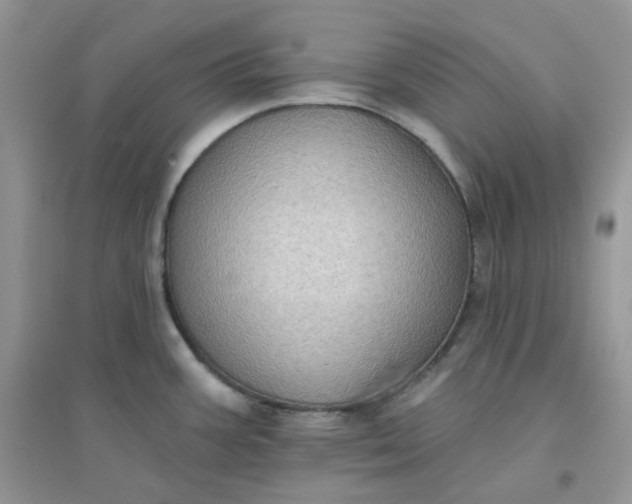 X0000096131387200802011137