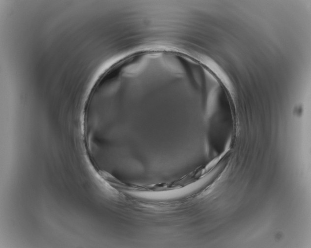 X0000096131388200802011137