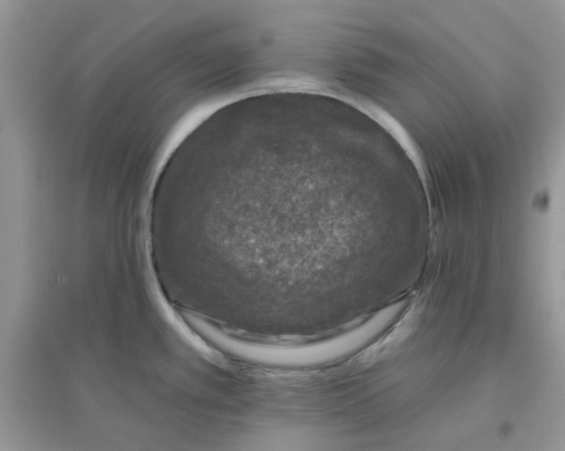 X0000096131389200802011137