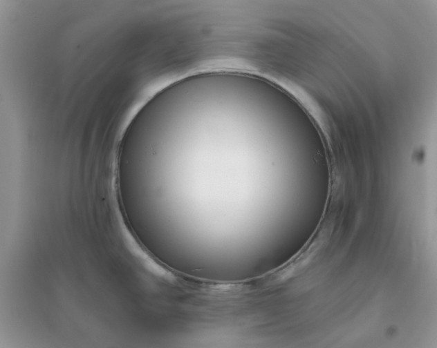 X0000096131390200802011137