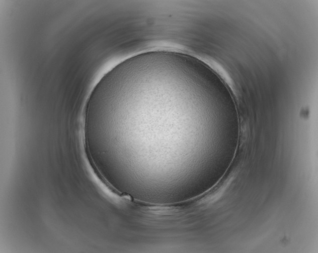 X0000096131391200802011137