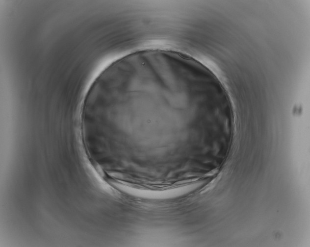 X0000096131392200802011137