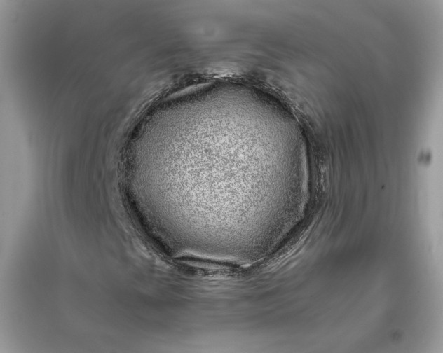 X0000096131393200802011137