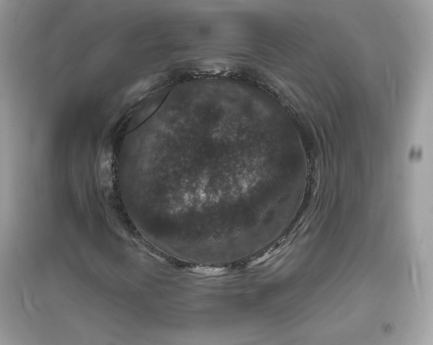 X0000096131394200802011137