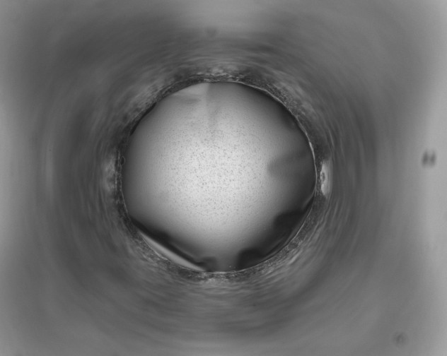 X0000096131395200802011137