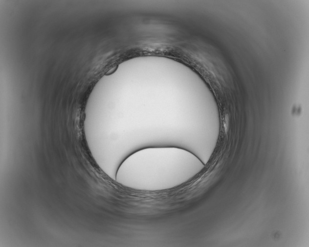 X0000096131396200802011137