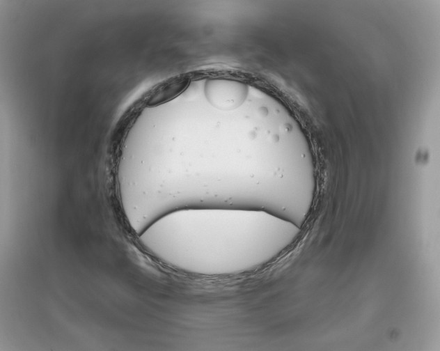 X0000096131400200802011137