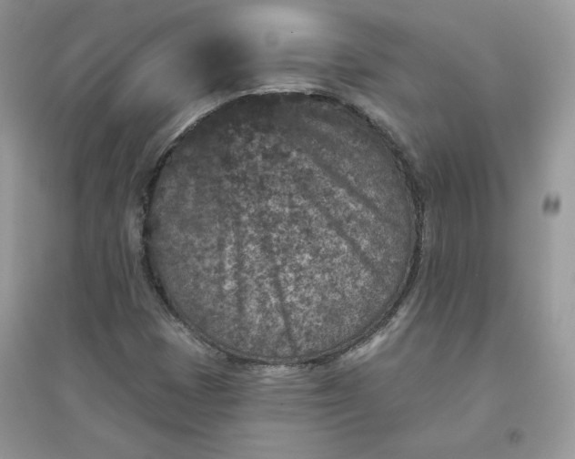 X0000096131401200802011137