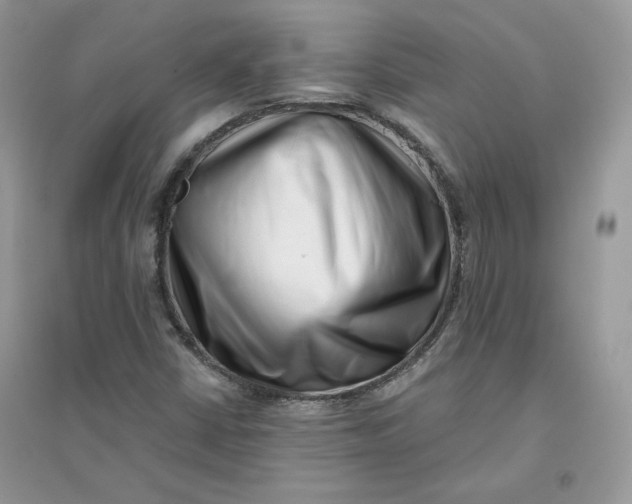 X0000096131402200802011137