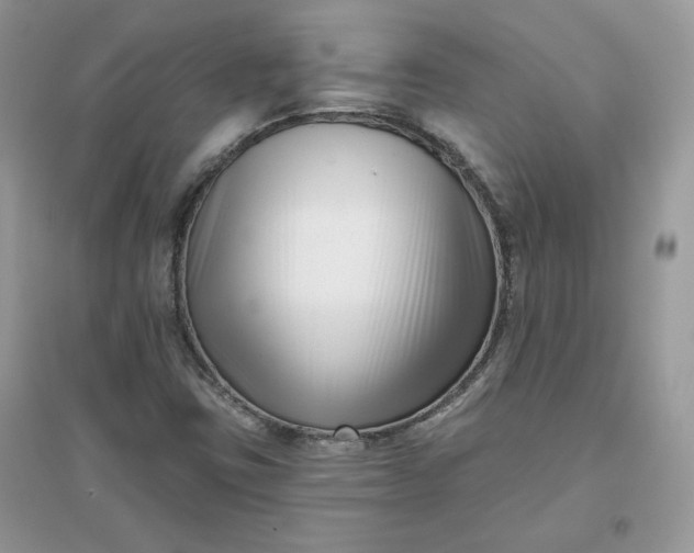 X0000096131403200802011137