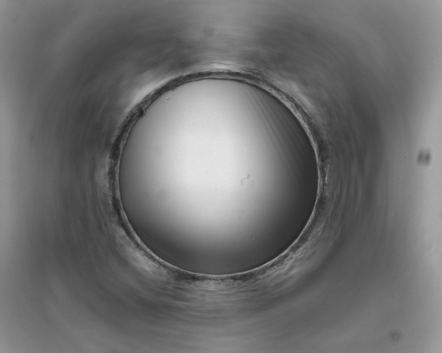 X0000096131404200802011137