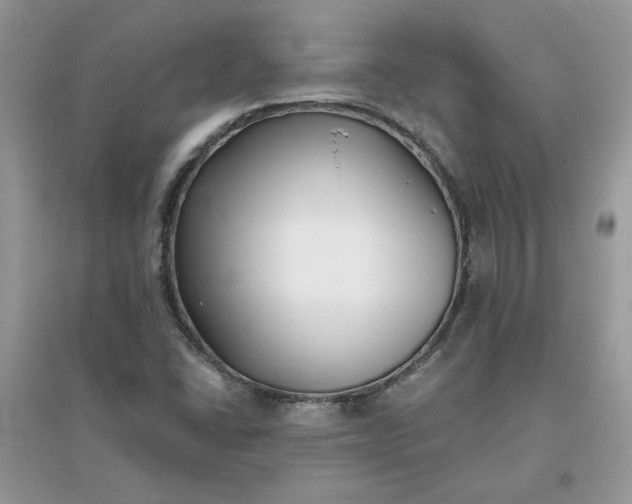 X0000096131406200802011137