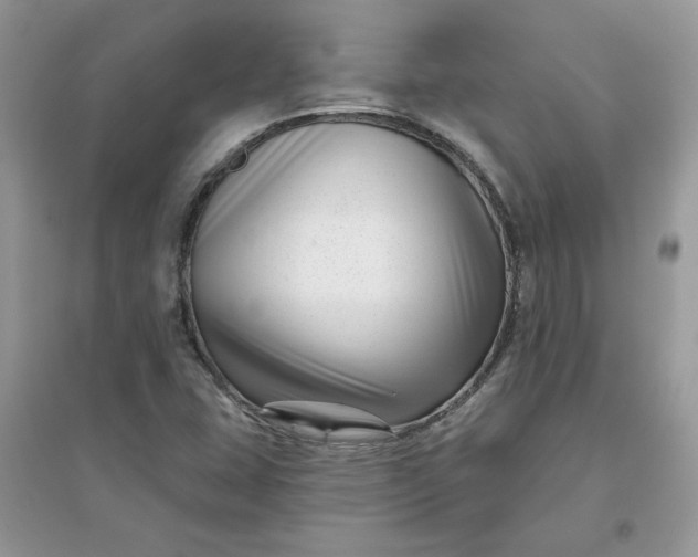X0000096131407200802011137