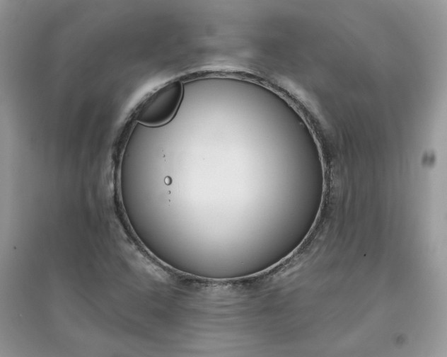 X0000096131408200802011137