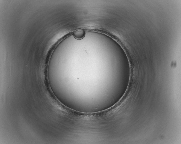 X0000096131410200802011137