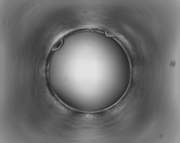 X0000096131412200802011137
