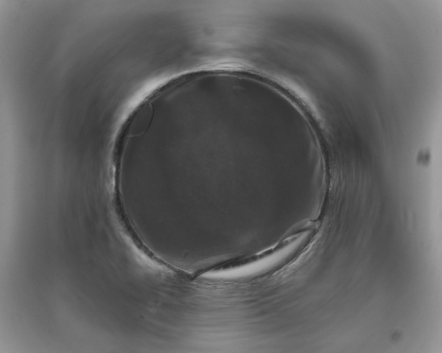 X0000096131414200802011137