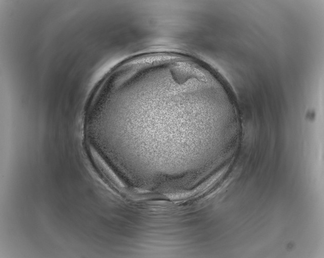 X0000096131415200802011137