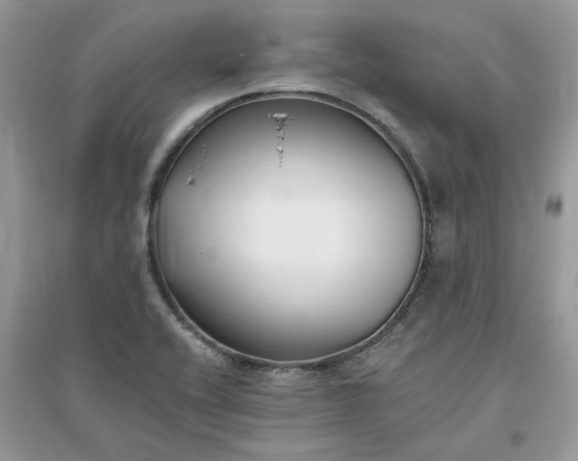 X0000096131416200802011137