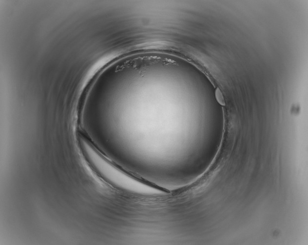 X0000096131418200802011137