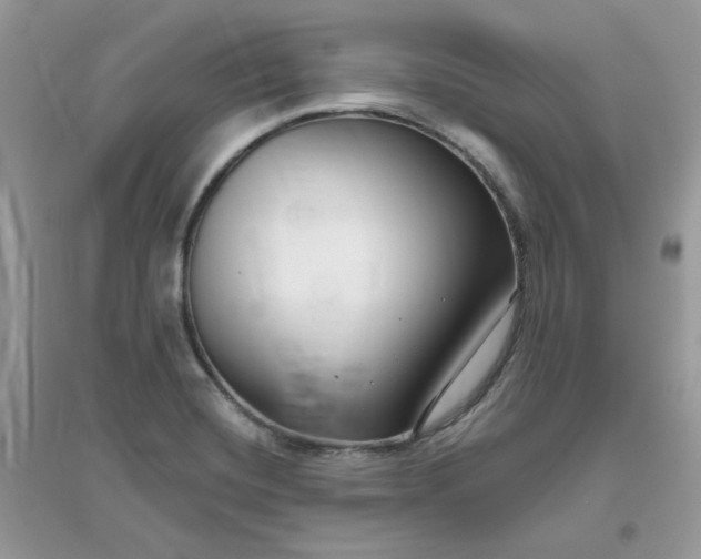 X0000096131420200802011137