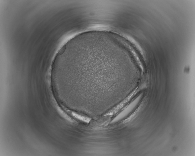 X0000096131421200802011137