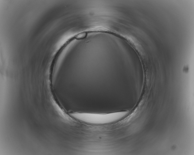 X0000096131422200802011137
