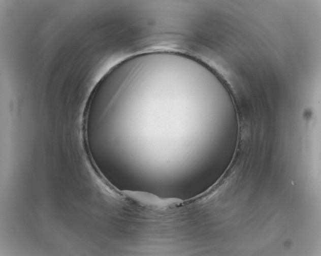 X0000096131423200802011137