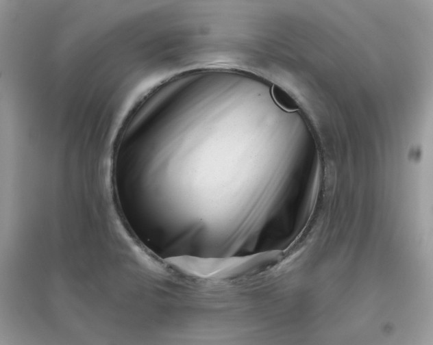 X0000096131424200802011137