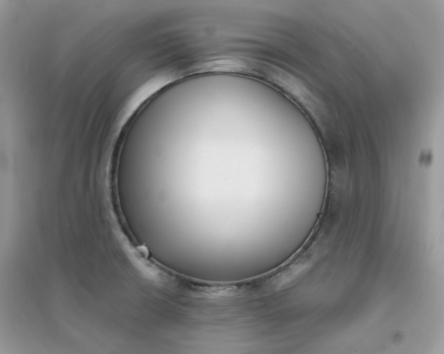 X0000096131426200802011137