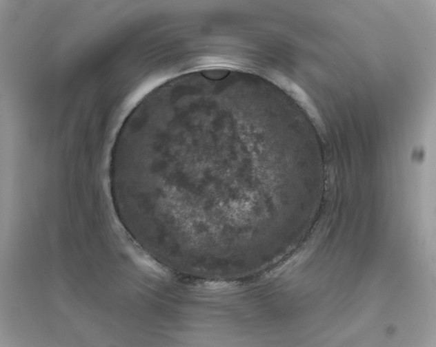 X0000096131427200802011137