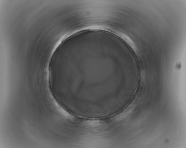 X0000096131428200802011137