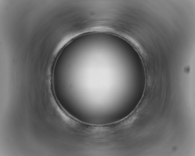 X0000096131430200802011137