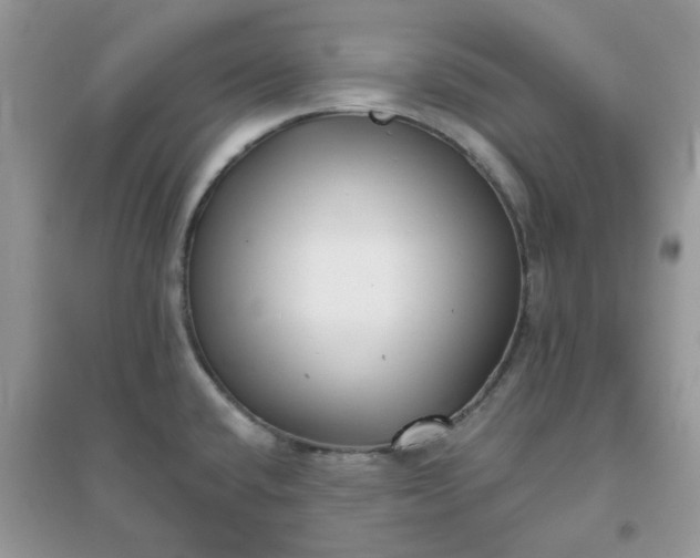 X0000096131432200802011137