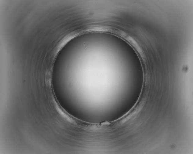 X0000096131433200802011137