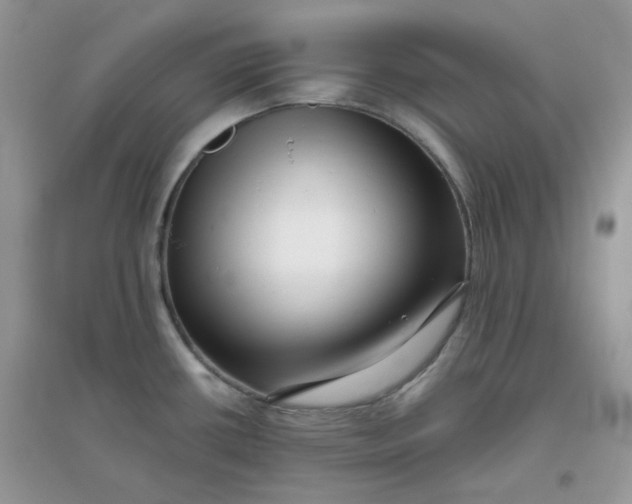 X0000096131434200802011137