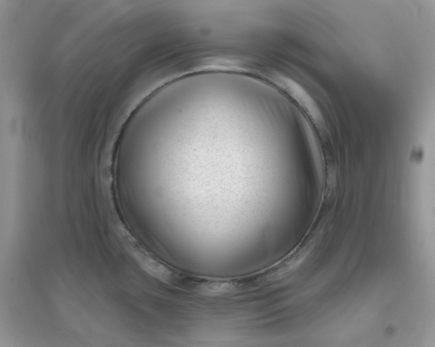 X0000096131435200802011137