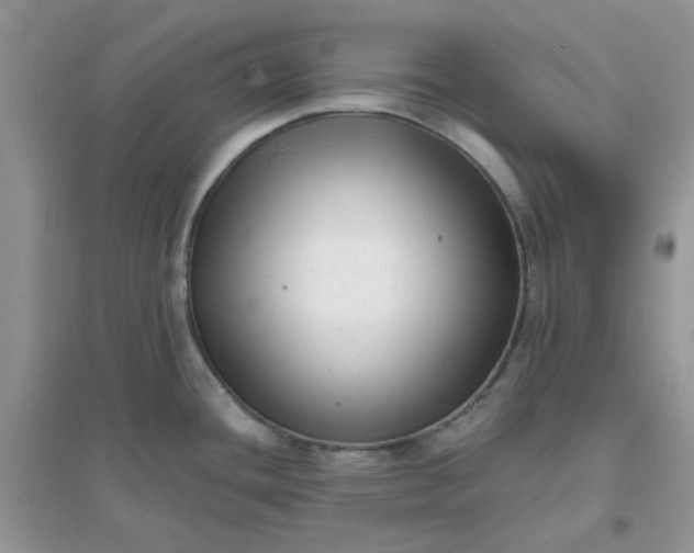 X0000096131436200802011137