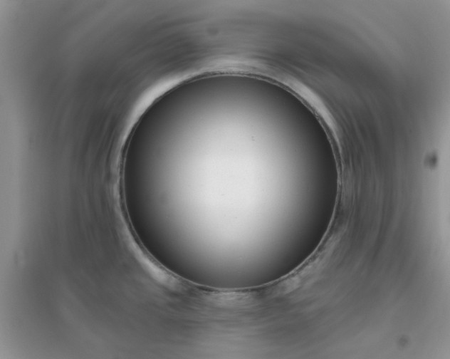 X0000096131437200802011137