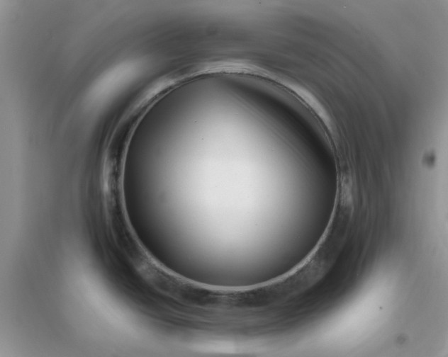 X0000096131438200802011137