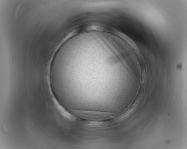 X0000096131439200802011137