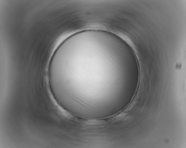 X0000096131440200802011137