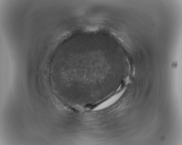 X0000096131441200802011137