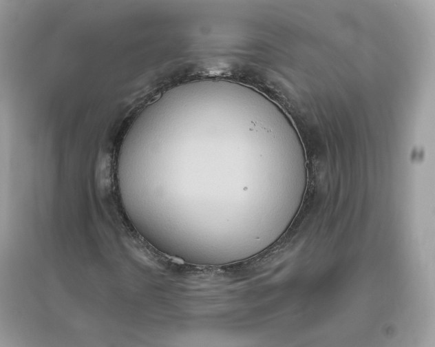 X0000096131442200802011137