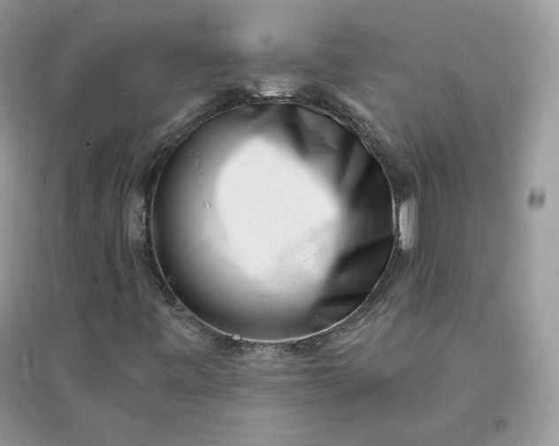 X0000096131443200802011137