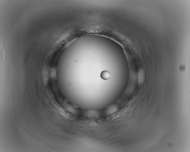 X0000096131444200802011137