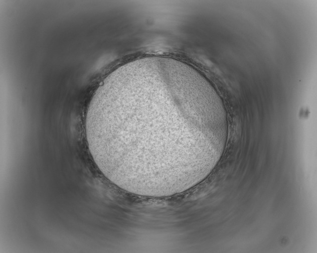 X0000096131446200802011137