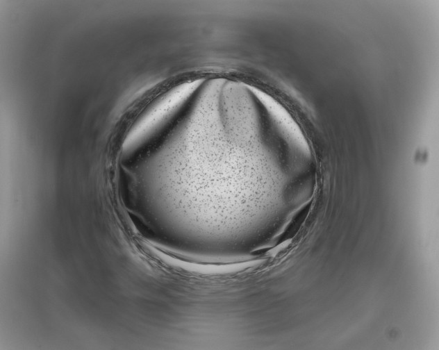 X0000096131448200802011137