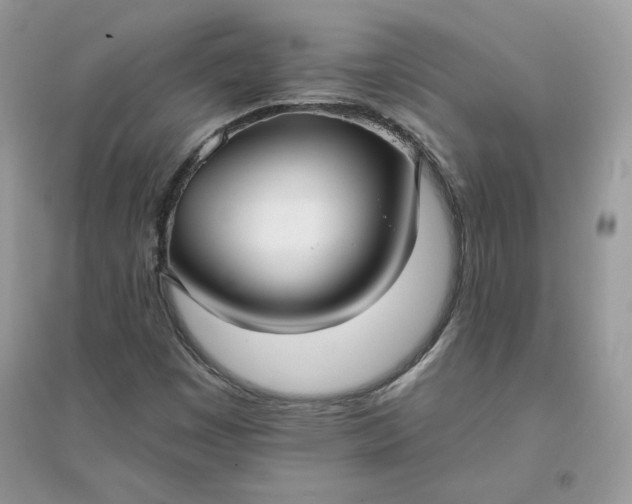 X0000096131449200802011137