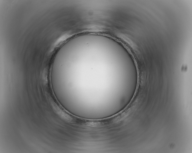 X0000096131451200802011137